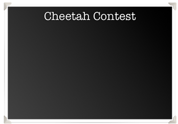 Cheetah Contest